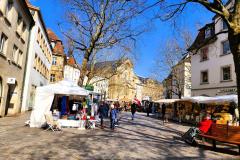 Bamberg-2024-Lihi-Laszlo_10