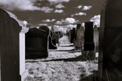 Bamberg-Jewish-Cemetery-2024-Lihi-Laszlo_1