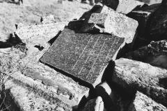 Bamberg-Jewish-Cemetery-2024-Lihi-Laszlo_12