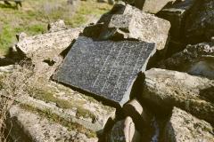 Bamberg-Jewish-Cemetery-2024-Lihi-Laszlo_13