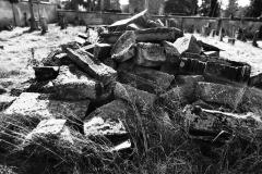 Bamberg-Jewish-Cemetery-2024-Lihi-Laszlo_14