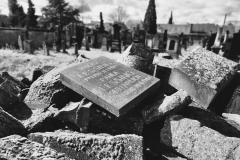 Bamberg-Jewish-Cemetery-2024-Lihi-Laszlo_15