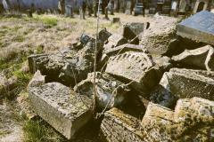 Bamberg-Jewish-Cemetery-2024-Lihi-Laszlo_16