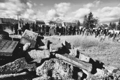 Bamberg-Jewish-Cemetery-2024-Lihi-Laszlo_17