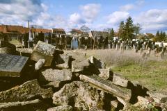 Bamberg-Jewish-Cemetery-2024-Lihi-Laszlo_18