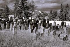 Bamberg-Jewish-Cemetery-2024-Lihi-Laszlo_19