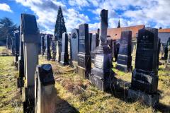 Bamberg-Jewish-Cemetery-2024-Lihi-Laszlo_2