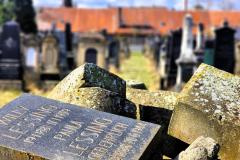 Bamberg-Jewish-Cemetery-2024-Lihi-Laszlo_20