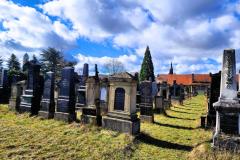 Bamberg-Jewish-Cemetery-2024-Lihi-Laszlo_22