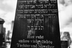 Bamberg-Jewish-Cemetery-2024-Lihi-Laszlo_23