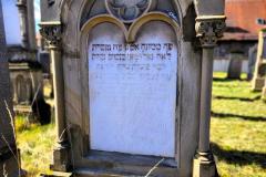 Bamberg-Jewish-Cemetery-2024-Lihi-Laszlo_27