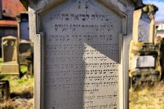 Bamberg-Jewish-Cemetery-2024-Lihi-Laszlo_28