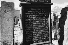 Bamberg-Jewish-Cemetery-2024-Lihi-Laszlo_29