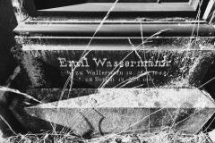 Bamberg-Jewish-Cemetery-2024-Lihi-Laszlo_30