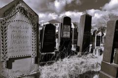 Bamberg-Jewish-Cemetery-2024-Lihi-Laszlo_31