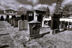 Bamberg-Jewish-Cemetery-2024-Lihi-Laszlo_32