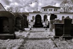 Bamberg-Jewish-Cemetery-2024-Lihi-Laszlo_34