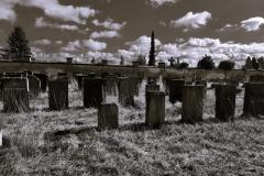 Bamberg-Jewish-Cemetery-2024-Lihi-Laszlo_4