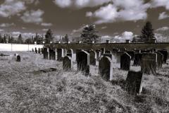 Bamberg-Jewish-Cemetery-2024-Lihi-Laszlo_5