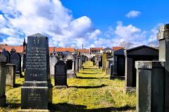 Bamberg-Jewish-Cemetery-2024-Lihi-Laszlo_6