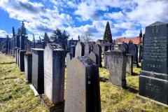 Bamberg-Jewish-Cemetery-2024-Lihi-Laszlo_7