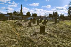 Bamberg-Jewish-Cemetery-2024-Lihi-Laszlo_8