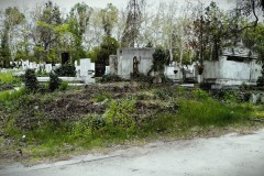 Budapest-Cemetery-Lihi-Laszlo-2014_19