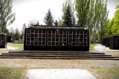 Budapest-Cemetery-Lihi-Laszlo-2014_21