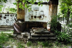 Budapest-Cemetery-Lihi-Laszlo-2014_23