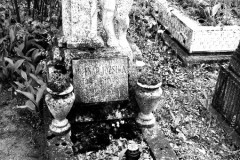 Budapest-Cemetery-Lihi-Laszlo-2014_34