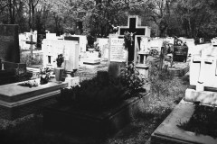 Budapest-Cemetery-Lihi-Laszlo-2014_7