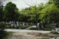 Budapest-Cemetery-Lihi-Laszlo-2014_70