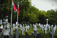 Budapest-Cemetery-Lihi-Laszlo-2014_8