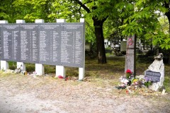 Budapest-Cemetery-Lihi-Laszlo-2014_83