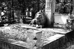 Budapest-Cemetery-Lihi-Laszlo-2014_84