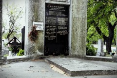 Budapest-Cemetery-Lihi-Laszlo-2014_96