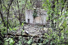 Budapest-Cemetery.1-Lihi-Laszlo-2014_1