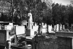 Budapest-Cemetery.1-Lihi-Laszlo-2014_20