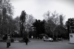 Budapest-Cemetery.1-Lihi-Laszlo-2014_25