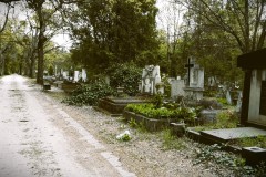 Budapest-Cemetery.1-Lihi-Laszlo-2014_3