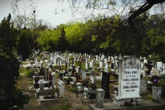 Budapest-Cemetery.1-Lihi-Laszlo-2014_8