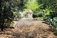 Cologne-Southern-Cemetery-Lihi-Laszlo-Sep-2022_12