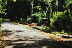 Cologne-Southern-Cemetery-Lihi-Laszlo-Sep-2022_16