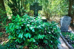 Cologne-Southern-Cemetery-Lihi-Laszlo-Sep-2022_27