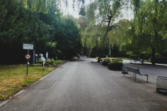 Cologne-Southern-Cemetery-Lihi-Laszlo-Sep-2022_5