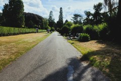 Cologne-Southern-Cemetery-Lihi-Laszlo-Sep-2022_52