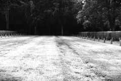 Cologne-Southern-Cemetery-Lihi-Laszlo-Sep-2022_94