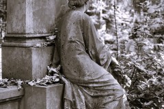Frankfurt-main-cemetery-Lihi-Laszlo-2024-082