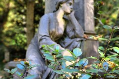 Frankfurt-main-cemetery-Lihi-Laszlo-2024-085