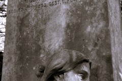 Frankfurt-main-cemetery-Lihi-Laszlo-2024-087
